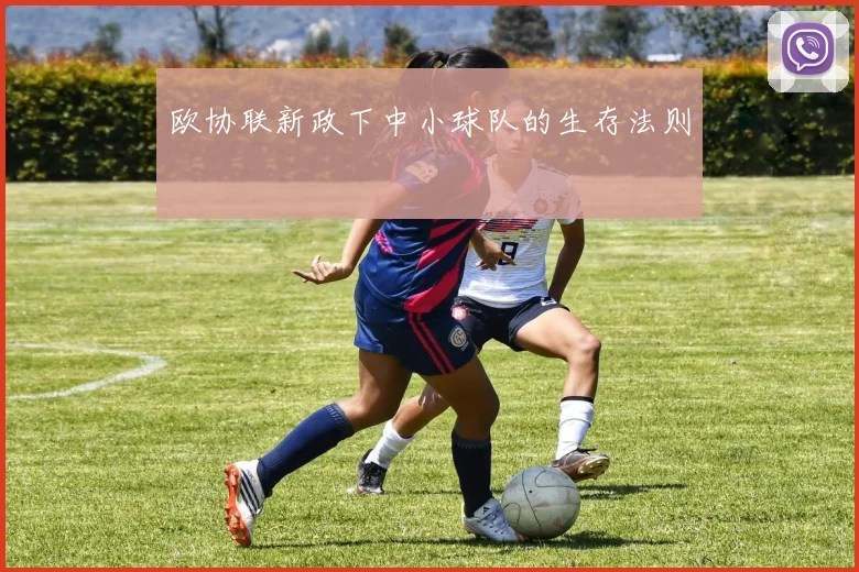 欧协联新政下中小球队的生存法则