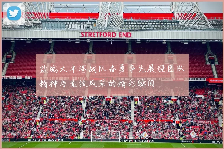 盐城大丰港战队奋勇争先展现团队精神与竞技风采的精彩瞬间